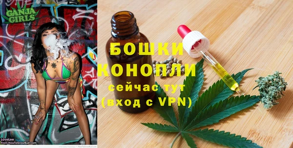 не бодяженный Осташков
