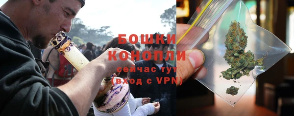 крисы Осинники