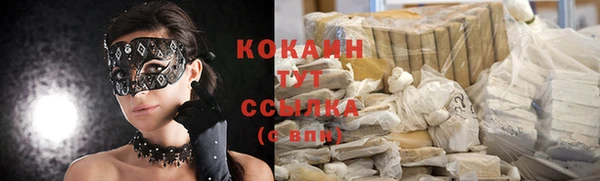 крисы Осинники
