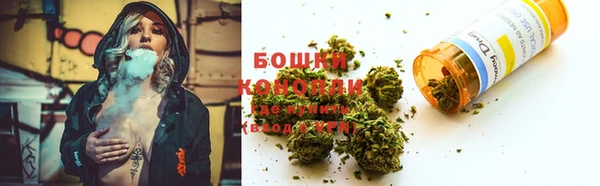 ECSTASY Пересвет