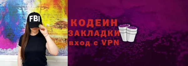 ECSTASY Пересвет