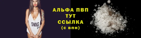 ECSTASY Пересвет