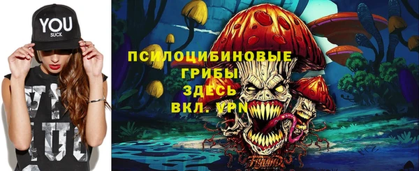 не бодяженный Осташков