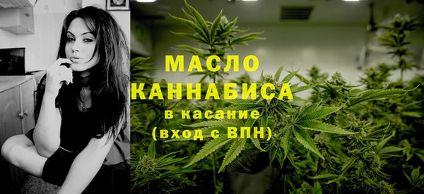 ECSTASY Пересвет