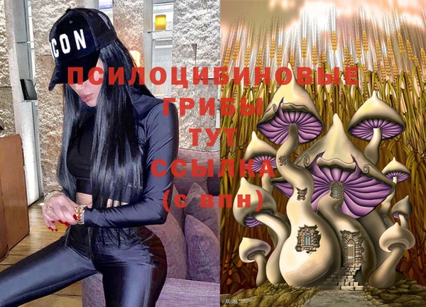 не бодяженный Осташков