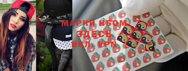 крисы Осинники
