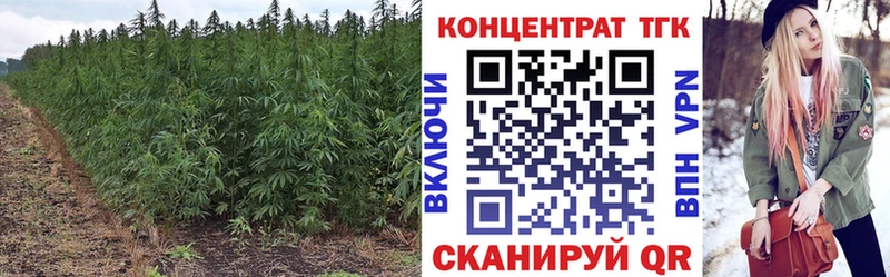 Дистиллят ТГК вейп с тгк  Купить  Челябинск 